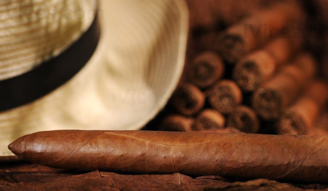 Cuban Cigars – Unveiling The Mystery Behind Their Global Appeal