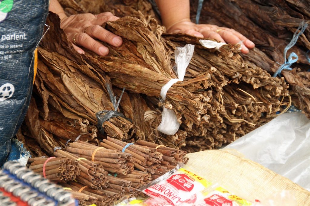 tobacco, leaves, leaf