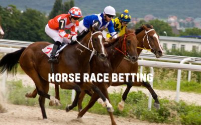 The Excitement Of Horse Race Betting – History, Types Of Bets, And Winning Tips