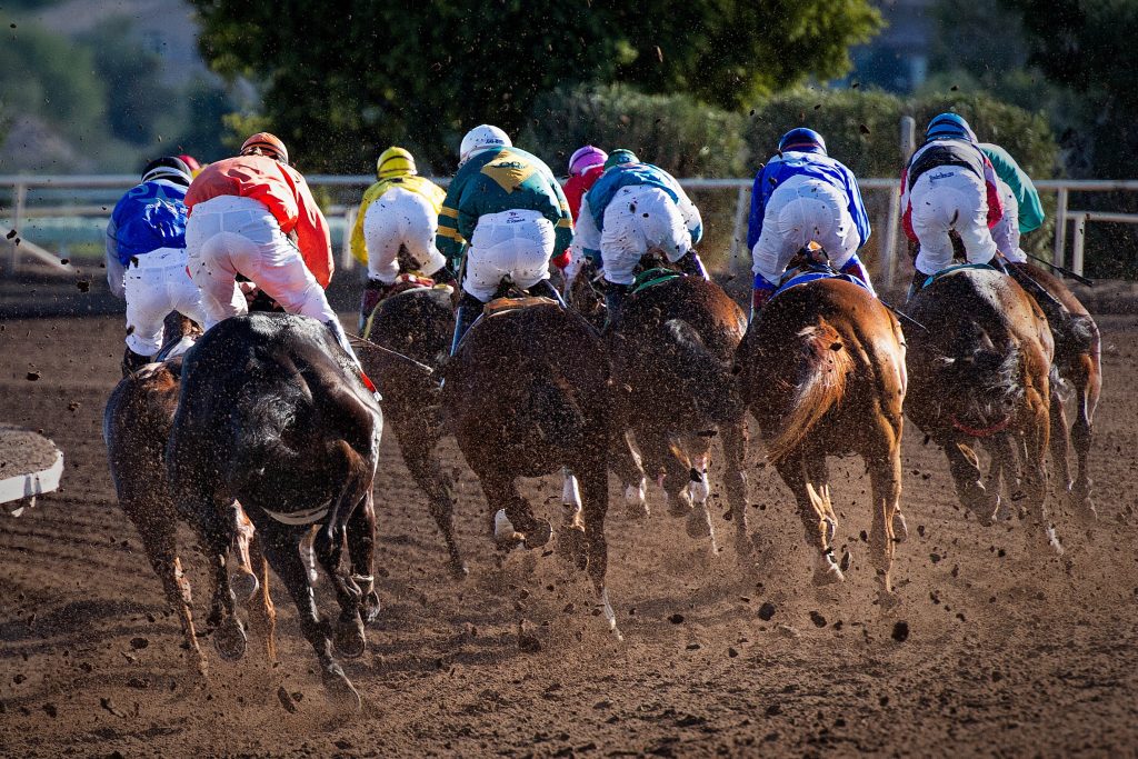 The Excitement Of Horse Race Betting: History, Types Of Bets, And Winning Tips