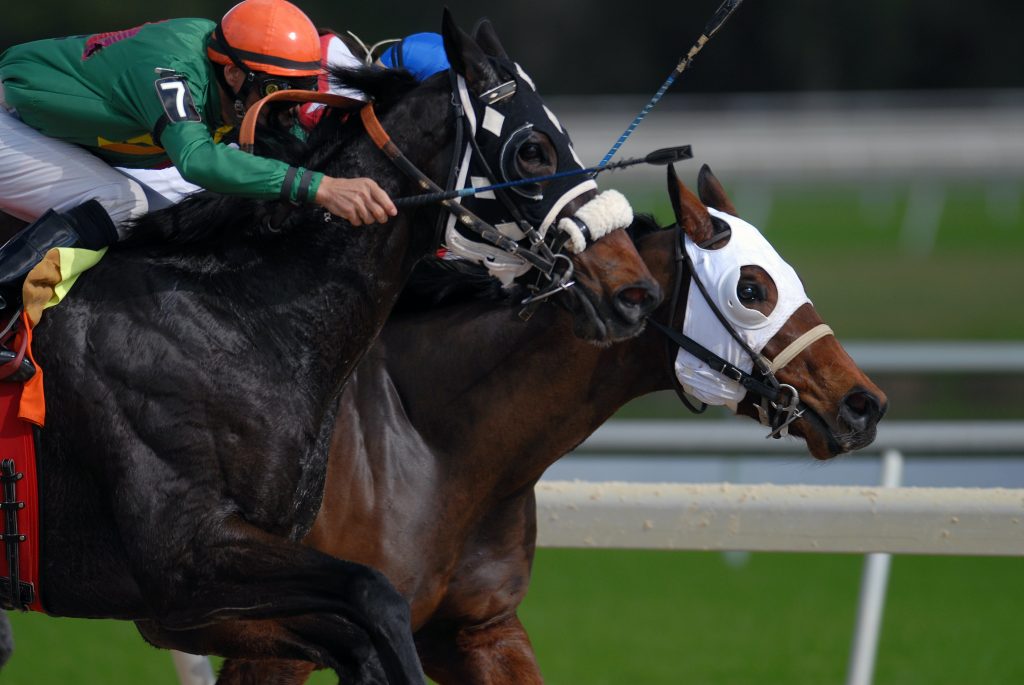 The Excitement Of Horse Race Betting: History, Types Of Bets, And Winning Tips